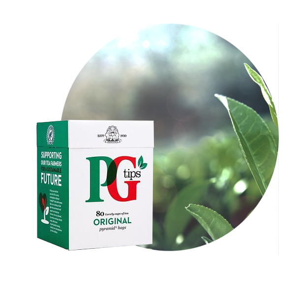 Jasa Internacional. PG Tips